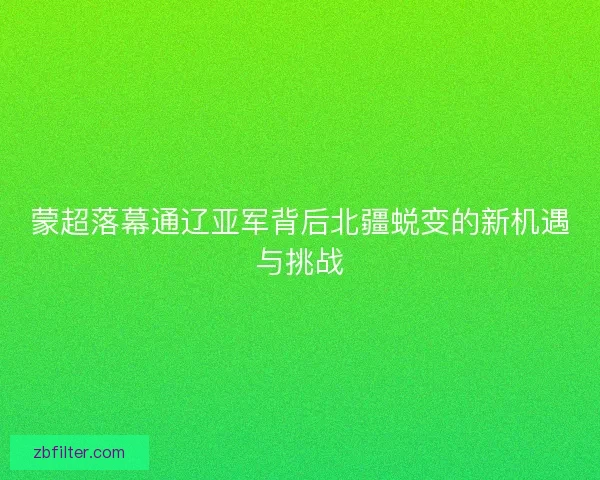 蒙超落幕通辽亚军背后北疆蜕变的新机遇与挑战