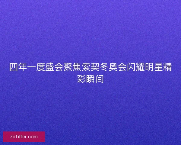 四年一度盛会聚焦索契冬奥会闪耀明星精彩瞬间 四年一度盛会聚焦索契冬奥会闪耀明星精彩瞬间